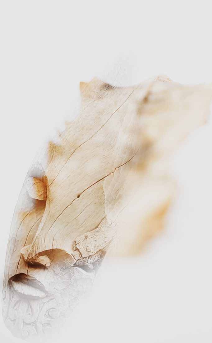whitewash-01