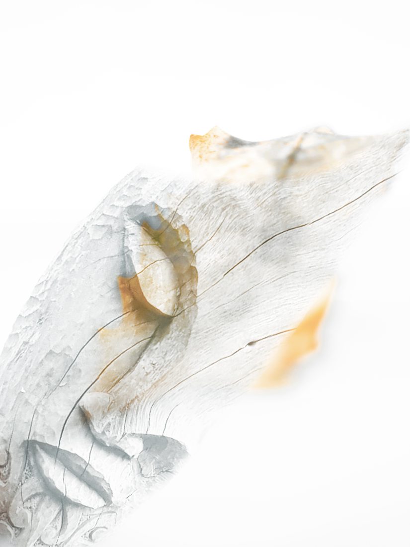 whitewash-02
